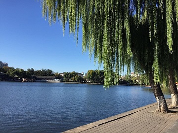 2017 年 10 月 29 日清晨，什刹海/后海沿岸